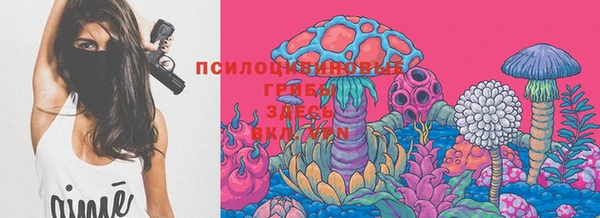 прущая мука Арсеньев