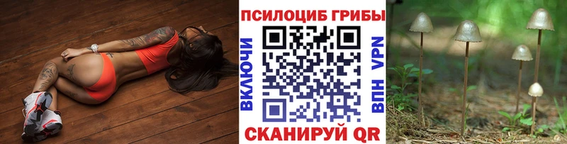 Псилоцибиновые грибы прущие грибы  Ревда 